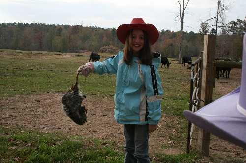 28 Sara getting rid of dead possum.JPG