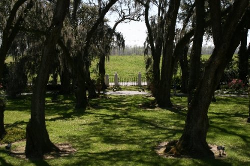 18 trees from balcony.JPG