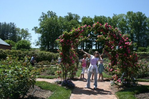 05 sara rose arch.JPG