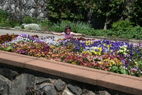 06 Sam among flowers.JPG