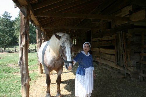 07_meet the horses 033.JPG