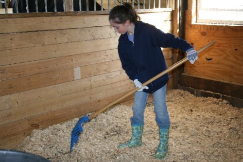 05 Sara mucking stall.JPG