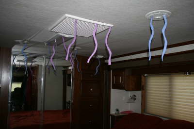 05_anniversary_kids_decorate1.jpg
