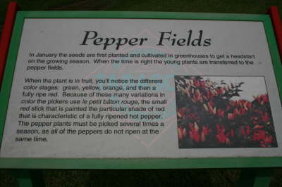 19_pepper_fields_sign1.jpg