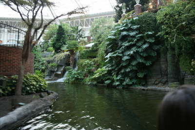 06_river_waterfall1.jpg