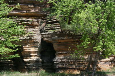 14_dells_sandstone_41.jpg