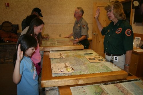 10 junior ranger badges.JPG