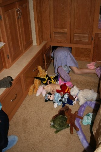 05 stuffed animal diving.JPG