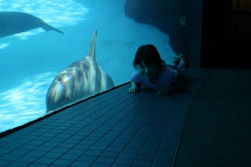 08 sam laying down with dolphin.JPG