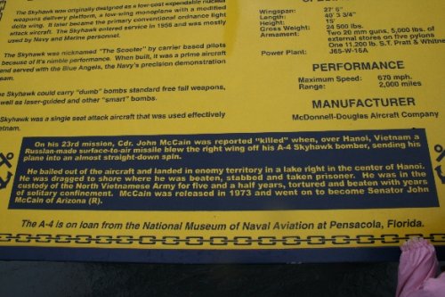 16 john mccain sign.JPG